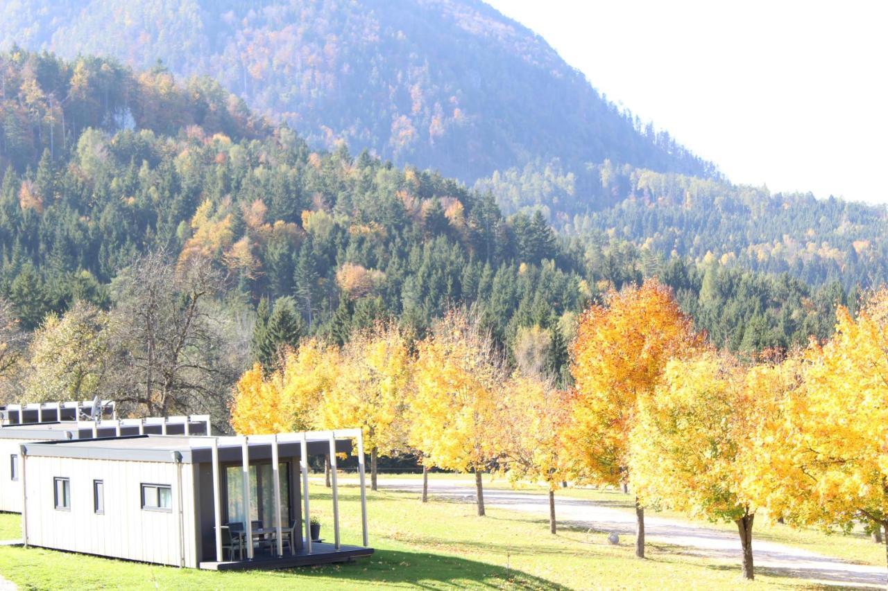 Chaletpark Petzen Hotel Feistritz ob Bleiburg Exterior photo